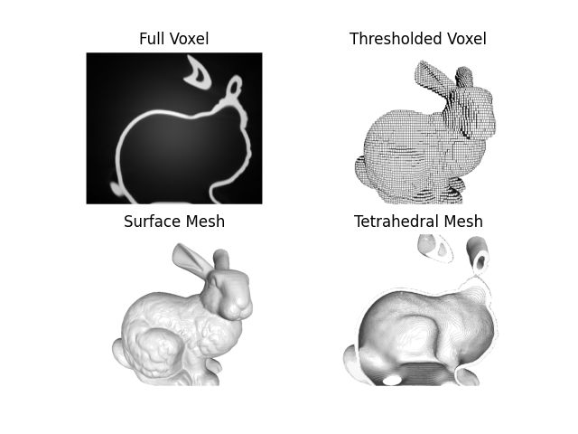 Full Voxel, Thresholded Voxel, Surface Mesh, Tetrahedral Mesh