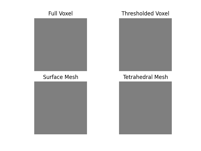 Full Voxel, Thresholded Voxel, Surface Mesh, Tetrahedral Mesh
